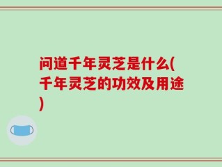 问道千年灵芝是什么(千年灵芝的功效及用途)