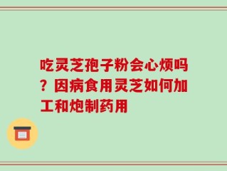 吃灵芝孢子粉会心烦吗？因病食用灵芝如何加工和炮制药用