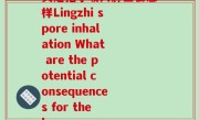 灵芝孢子吸入肺里会怎样Lingzhi spore inhalation What are the potential consequences for the lungs