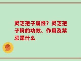 灵芝孢子属性？灵芝孢子粉的功效、作用及禁忌是什么