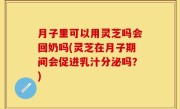 月子里可以用灵芝吗会回奶吗(灵芝在月子期间会促进乳汁分泌吗？)