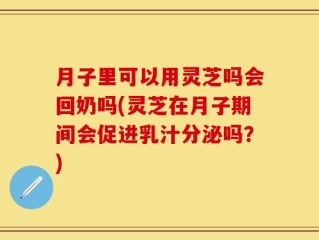 月子里可以用灵芝吗会回奶吗(灵芝在月子期间会促进乳汁分泌吗？)