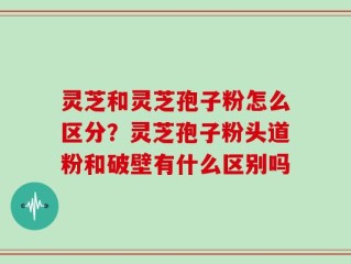 灵芝和灵芝孢子粉怎么区分？灵芝孢子粉头道粉和破壁有什么区别吗