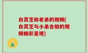 白灵芝和老弟的视频(白灵芝与小弟合拍的视频精彩呈现)