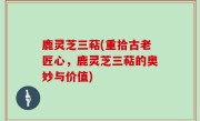 鹿灵芝三萜(重拾古老匠心，鹿灵芝三萜的奥妙与价值)