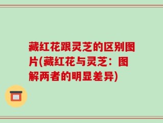 藏红花跟灵芝的区别图片(藏红花与灵芝：图解两者的明显差异)