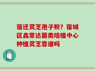 宿迁灵芝孢子粉？宿城区鑫常达菌类培植中心种植灵芝靠谱吗