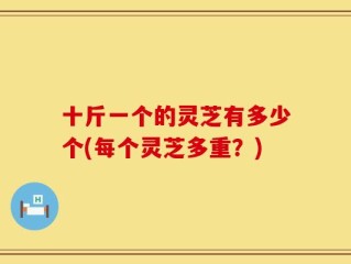 十斤一个的灵芝有多少个(每个灵芝多重？)