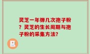灵芝一年弹几次孢子粉？灵芝的生长周期与孢子粉的采集方法？