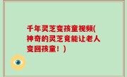 千年灵芝变孩童视频(神奇的灵芝竟能让老人变回孩童！)