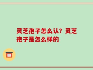 灵芝孢子怎么认？灵芝孢子是怎么样的