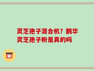 灵芝孢子混合机？鹊华灵芝孢子粉是真的吗