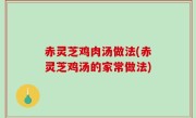 赤灵芝鸡肉汤做法(赤灵芝鸡汤的家常做法)