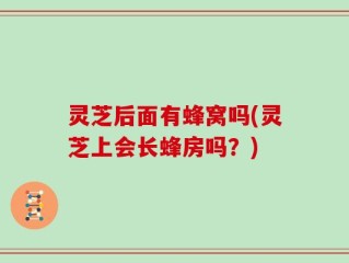 灵芝后面有蜂窝吗(灵芝上会长蜂房吗？)