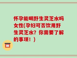 怀孕能喝野生灵芝水吗女性(孕妇可否饮用野生灵芝水？你需要了解的事项！)