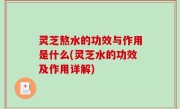 灵芝熬水的功效与作用是什么(灵芝水的功效及作用详解)