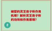 破壁的灵芝孢子粉作用机理？解析灵芝孢子粉的功效和作用原理？