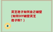 灵芝孢子如何自己破壁(如何DIY破壁灵芝孢子粉？)