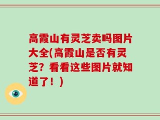 高霞山有灵芝卖吗图片大全(高霞山是否有灵芝？看看这些图片就知道了！)