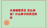 大晟破壁灵芝 怎么拼音？什么牌子的灵芝粉好
