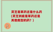 灵芝是草药还是什么药(灵芝到底是草药还是其他类型的药？)