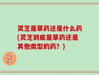 灵芝是草药还是什么药(灵芝到底是草药还是其他类型的药？)