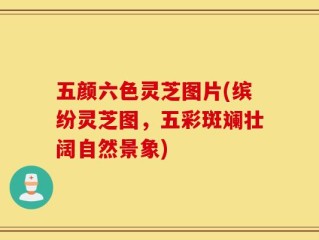 五颜六色灵芝图片(缤纷灵芝图，五彩斑斓壮阔自然景象)