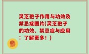 灵芝孢子作用与功效及禁忌症图片(灵芝孢子的功效、禁忌症与应用：了解更多！)