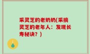 采灵芝的老奶奶(采摘灵芝的老年人：发现长寿秘诀？)