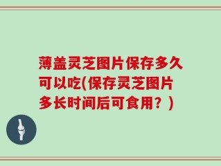 薄盖灵芝图片保存多久可以吃(保存灵芝图片多长时间后可食用？)