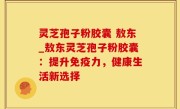 灵芝孢子粉胶囊 敖东_敖东灵芝孢子粉胶囊：提升免疫力，健康生活新选择