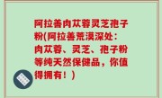 阿拉善肉苁蓉灵芝孢子粉(阿拉善荒漠深处：肉苁蓉、灵芝、孢子粉等纯天然保健品，你值得拥有！)