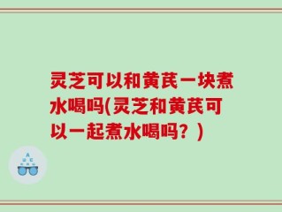 灵芝可以和黄芪一块煮水喝吗(灵芝和黄芪可以一起煮水喝吗？)