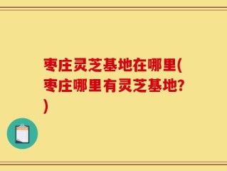 枣庄灵芝基地在哪里(枣庄哪里有灵芝基地？)