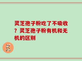 灵芝孢子粉吃了不吸收？灵芝孢子粉有机和无机的区别