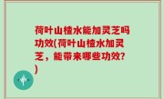 荷叶山楂水能加灵芝吗功效(荷叶山楂水加灵芝，能带来哪些功效？)