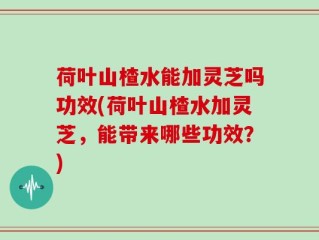 荷叶山楂水能加灵芝吗功效(荷叶山楂水加灵芝，能带来哪些功效？)