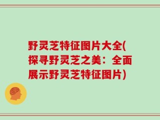 野灵芝特征图片大全(探寻野灵芝之美：全面展示野灵芝特征图片)