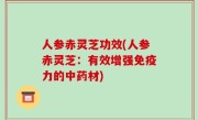 人参赤灵芝功效(人参赤灵芝：有效增强免疫力的中药材)