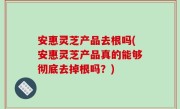 安惠灵芝产品去根吗(安惠灵芝产品真的能够彻底去掉根吗？)
