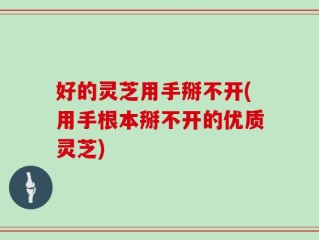 好的灵芝用手掰不开(用手根本掰不开的优质灵芝)