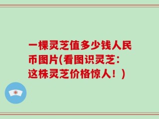 一棵灵芝值多少钱人民币图片(看图识灵芝：这株灵芝价格惊人！)