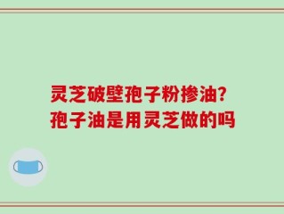 灵芝破壁孢子粉掺油？孢子油是用灵芝做的吗