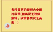 各种灵芝的视频大全图片欣赏(精美灵芝视频集锦，欣赏各类灵芝画面！)