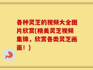各种灵芝的视频大全图片欣赏(精美灵芝视频集锦，欣赏各类灵芝画面！)