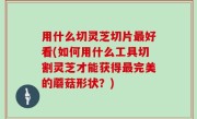 用什么切灵芝切片最好看(如何用什么工具切割灵芝才能获得最完美的蘑菇形状？)