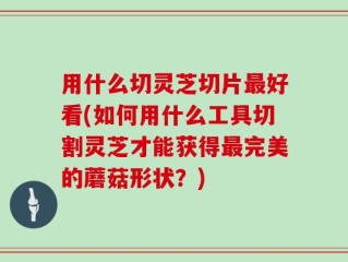 用什么切灵芝切片最好看(如何用什么工具切割灵芝才能获得最完美的蘑菇形状？)