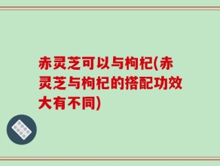 赤灵芝可以与枸杞(赤灵芝与枸杞的搭配功效大有不同)