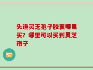 头道灵芝孢子胶囊哪里买？哪里可以买到灵芝孢子