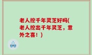 老人挖千年灵芝好吗(老人挖出千年灵芝，意外之喜！)
